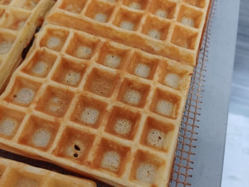 Cliquez pour zoomer ! Gaufres Thermomix par blandine_114