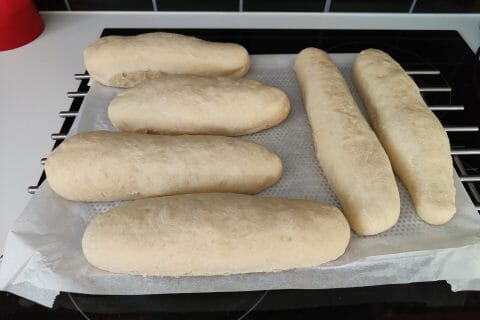 Cliquez pour zoomer ! Panini Thermomix par Wawa