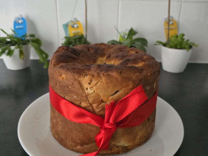 Cliquez pour zoomer ! Panettone Thermomix par Anaïs
