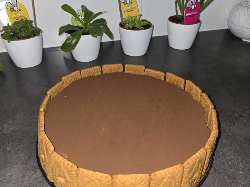 Cliquez pour zoomer ! Crémeux pommes spéculoos Thermomix par Anaïs