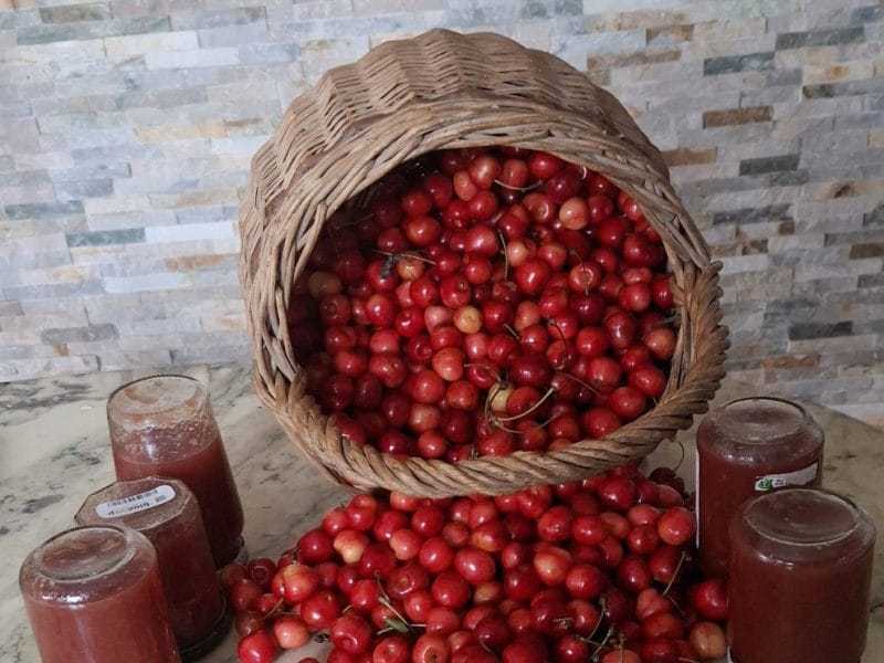 Cliquez pour zoomer ! Confiture de cerises Thermomix par manhou05