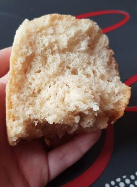 Cliquez pour zoomer ! Brioche à l’eau gazeuse Thermomix par Metalso