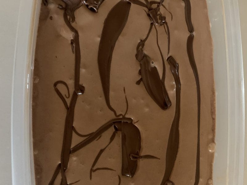 Cliquez pour zoomer ! Glace au Nutella Thermomix par sabinemaeva