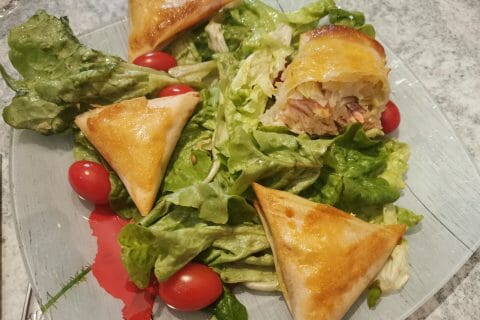 Cliquez pour zoomer ! Samoussas au cabillaud Thermomix par kp35