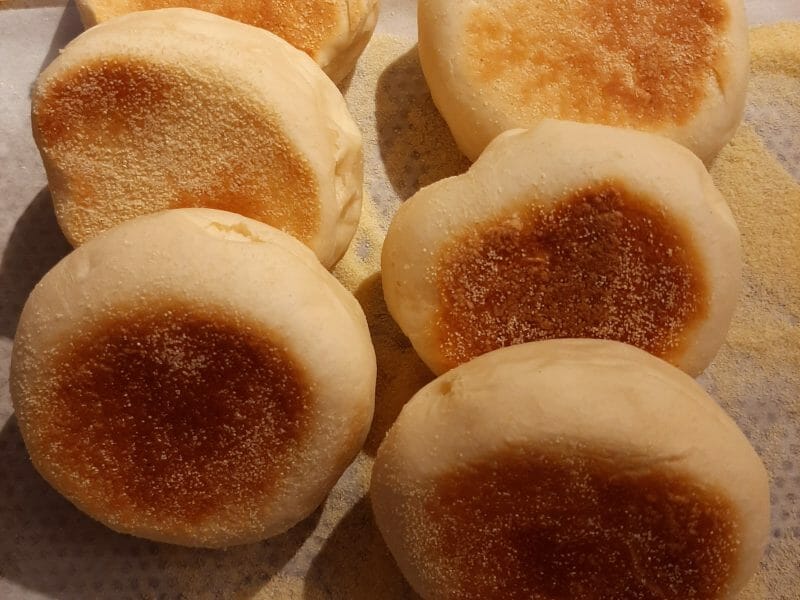 Cliquez pour zoomer ! Muffins anglais Thermomix par Liliwind