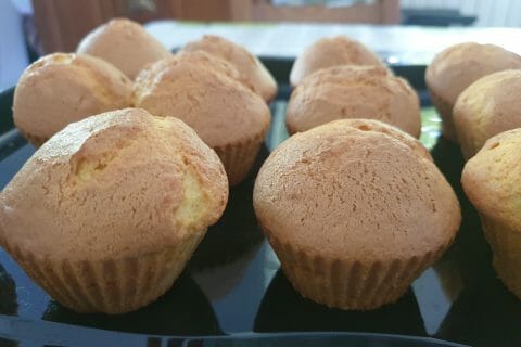 Cliquez pour zoomer ! Photo de mayb