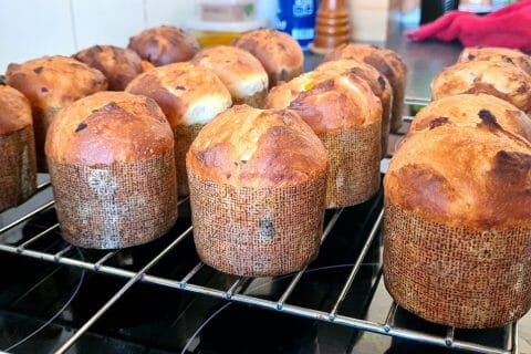 Cliquez pour zoomer ! Panettone Thermomix par Kent