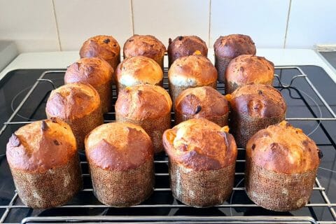 Cliquez pour zoomer ! Panettone Thermomix par Kent