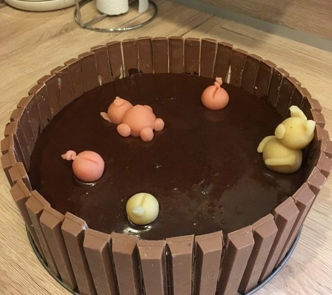 Cliquez pour zoomer ! La mare aux cochons Thermomix par Ed29