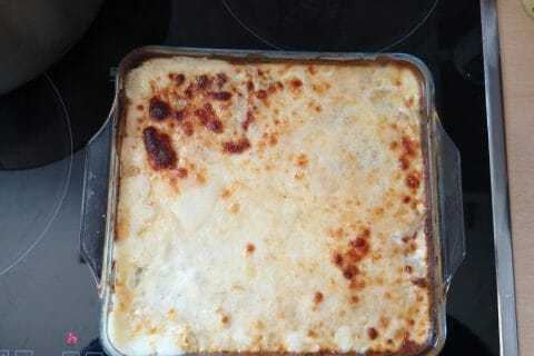 Cliquez pour zoomer ! Gratin de fenouil Thermomix par Babou 🐒