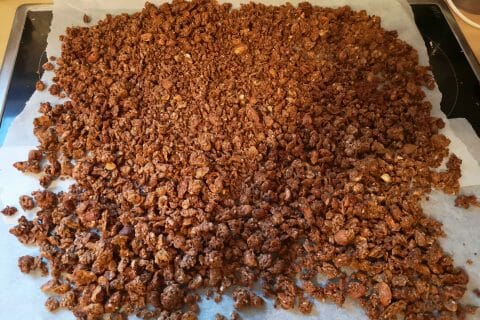 Cliquez pour zoomer ! Granola au chocolat Thermomix par Babou 🐒