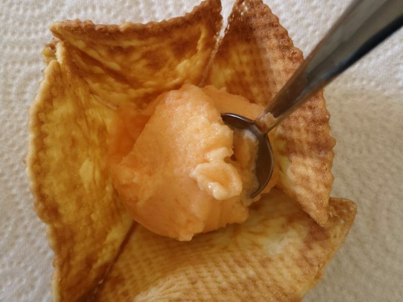 de glace au Thermomix Cookomix