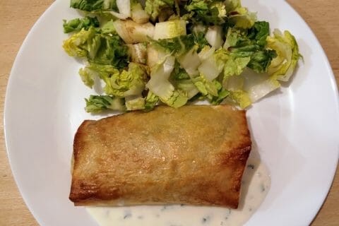 Cliquez pour zoomer ! Brick de saumon et poireaux au Thermomix