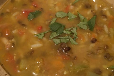 Cliquez pour zoomer ! Soupe de légumes aux lentilles et au riz au Thermomix