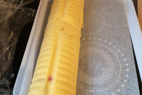 Cliquez pour zoomer ! Bûche glacée mangue et framboise Thermomix par Babou 🐒