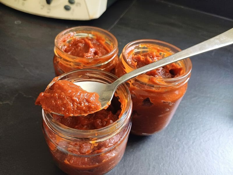 Cliquez pour zoomer ! Ketchup Thermomix par Babou 🐒