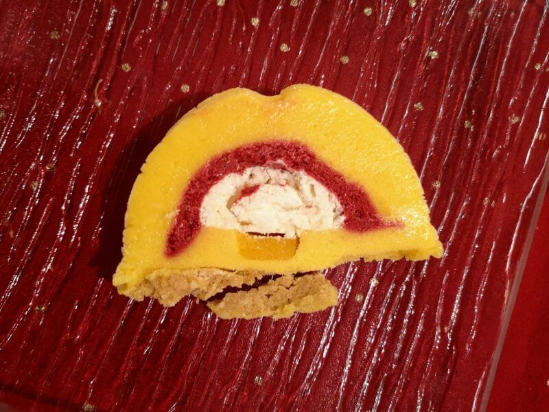 Cliquez pour zoomer ! Bûche glacée mangue et framboise Thermomix par Babou 🐒