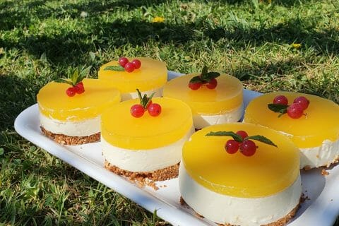 Cliquez pour zoomer ! Panna cotta citron sur sablé spéculoos et miroir de mangue au Thermomix