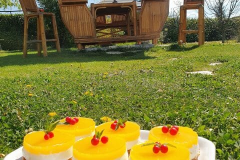 Cliquez pour zoomer ! Panna cotta citron sur sablé spéculoos et miroir de mangue au Thermomix