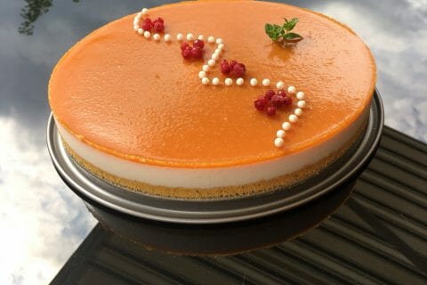 Cliquez pour zoomer ! Bavarois à l’abricot au Thermomix