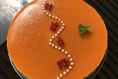 Cliquez pour zoomer ! Bavarois à l’abricot au Thermomix
