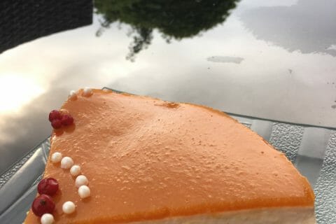 Cliquez pour zoomer ! Bavarois à l’abricot au Thermomix