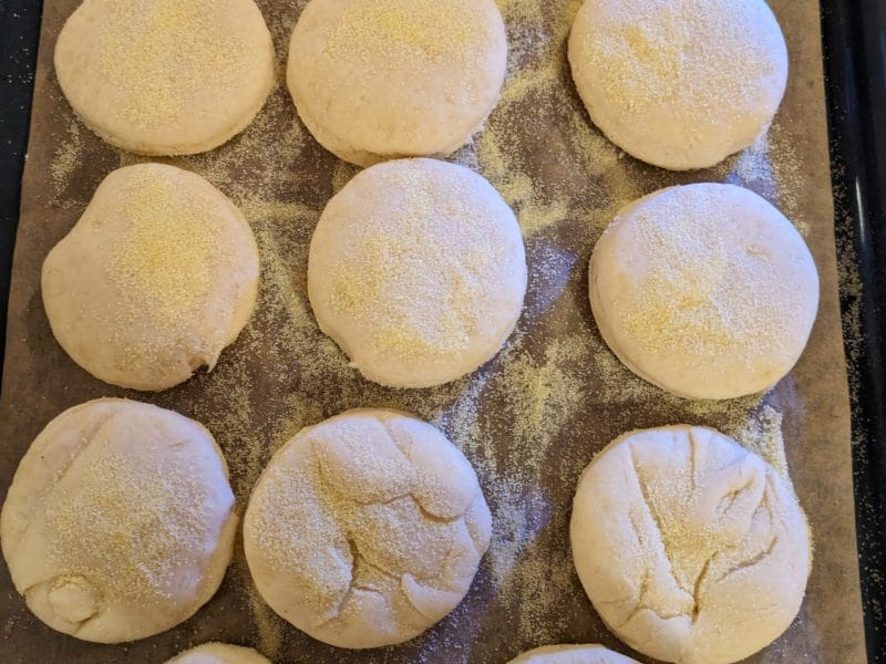 Cliquez pour zoomer ! Muffins anglais Thermomix par charlenelm