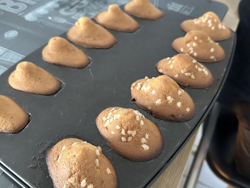 Cliquez pour zoomer ! Madeleines Thermomix par natashou