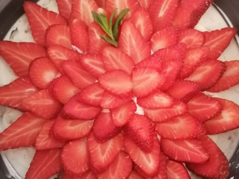 Cliquez pour zoomer ! Tarte aux fraises sans cuisson Thermomix par marinette76620