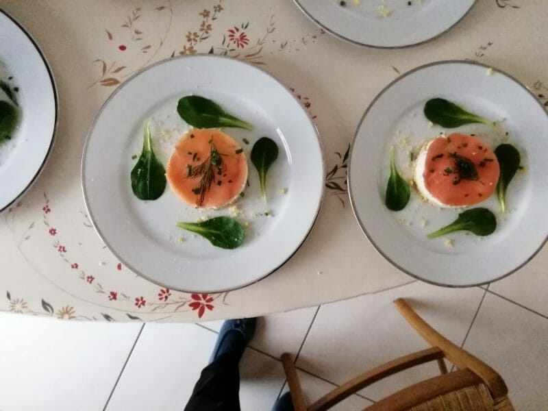 Cliquez pour zoomer ! Cheesecake au saumon sans cuisson Thermomix par Annicklouis