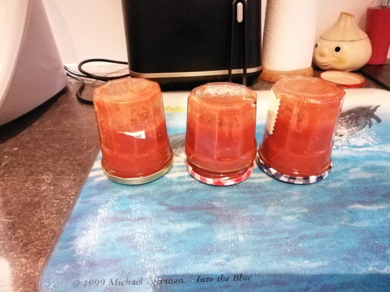 Cliquez pour zoomer ! Coulis de tomates Thermomix par Annicklouis