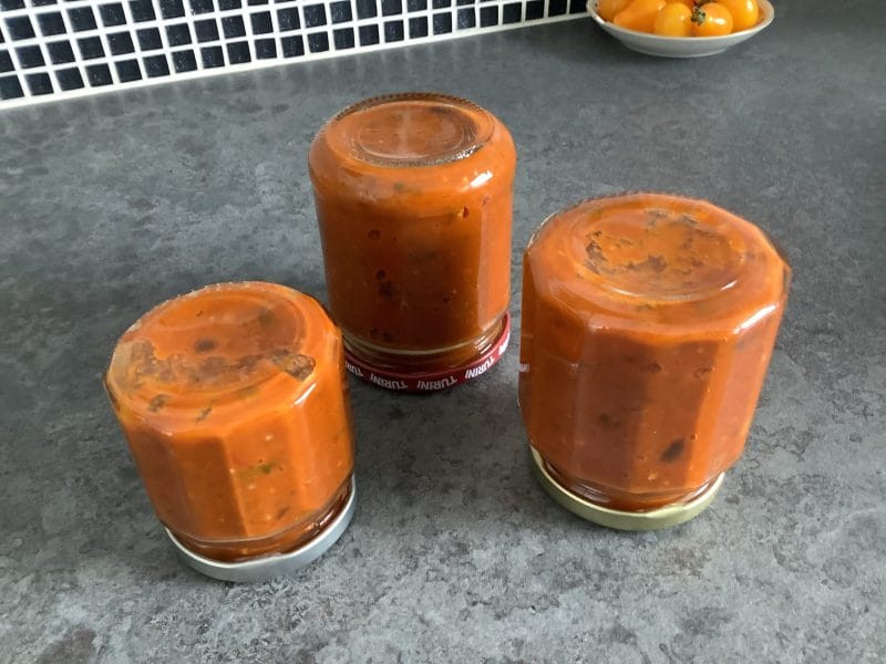 Cliquez pour zoomer ! Tartinade d’aubergines et tomates Thermomix par Mlise