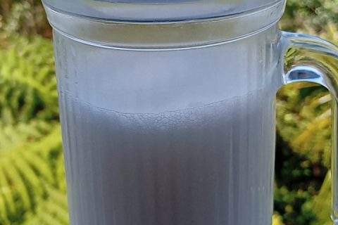Cliquez pour zoomer ! Lait de coco Thermomix par martyn