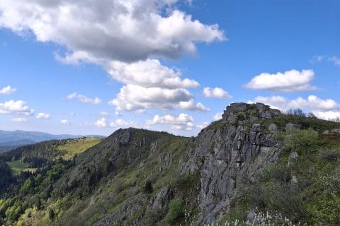 Cliquez pour zoomer ! Photo de mokka57