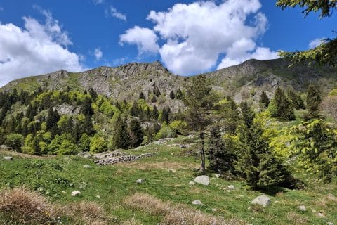 Cliquez pour zoomer ! Photo de mokka57