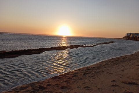 Cliquez pour zoomer ! Photo de mokka57