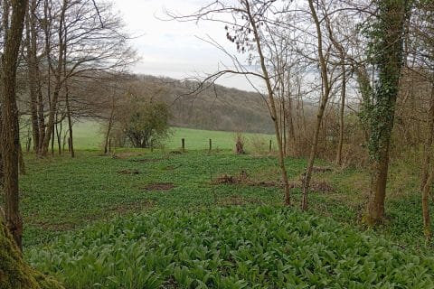 Cliquez pour zoomer ! Photo de mokka57