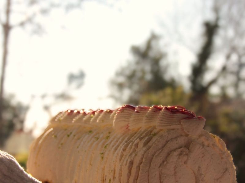 Cliquez pour zoomer ! Photo de taliamix44 Thermomix par taliamix44