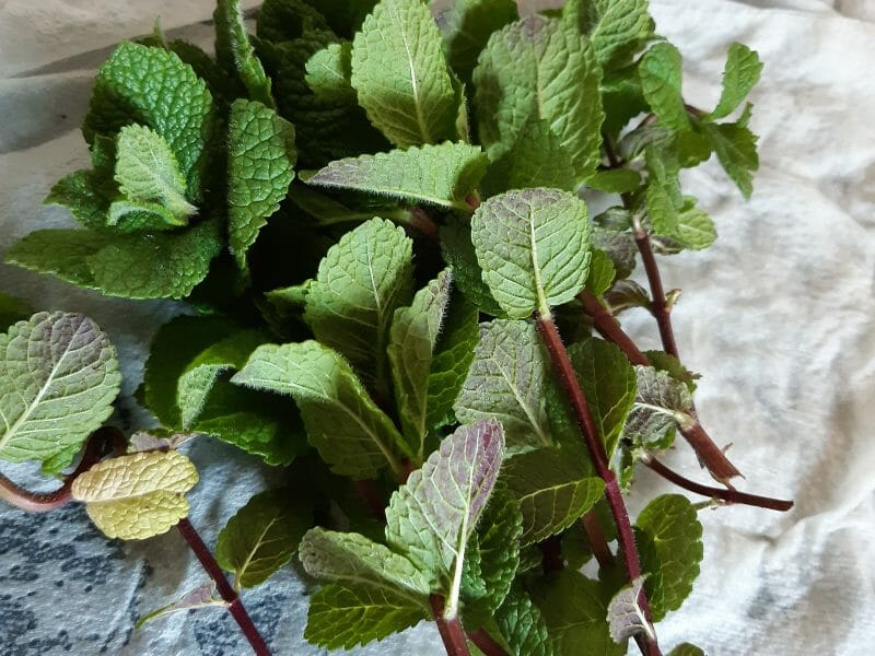 Cliquez pour zoomer ! Glace menthe-chocolat Thermomix par Cilou6334