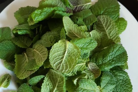 Cliquez pour zoomer ! Glace menthe-chocolat Thermomix par Cilou6334