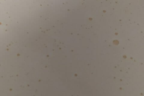 Cliquez pour zoomer ! Gâteau macaroné au chocolat Thermomix par cilou6283