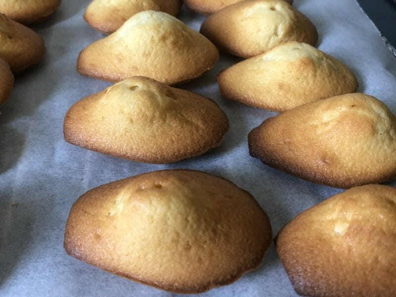 Cliquez pour zoomer ! Madeleines Thermomix par mimi_37