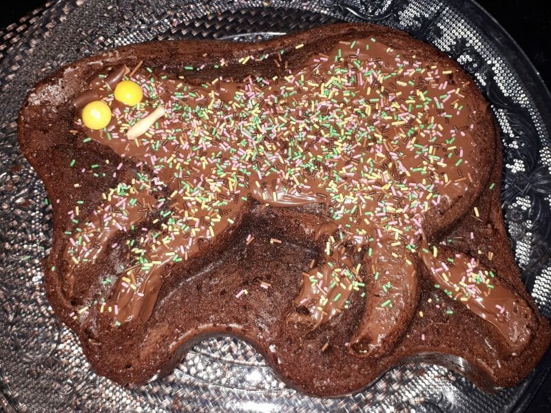 Cliquez pour zoomer ! Gâteau au chocolat des écoliers Thermomix par Liilynayah