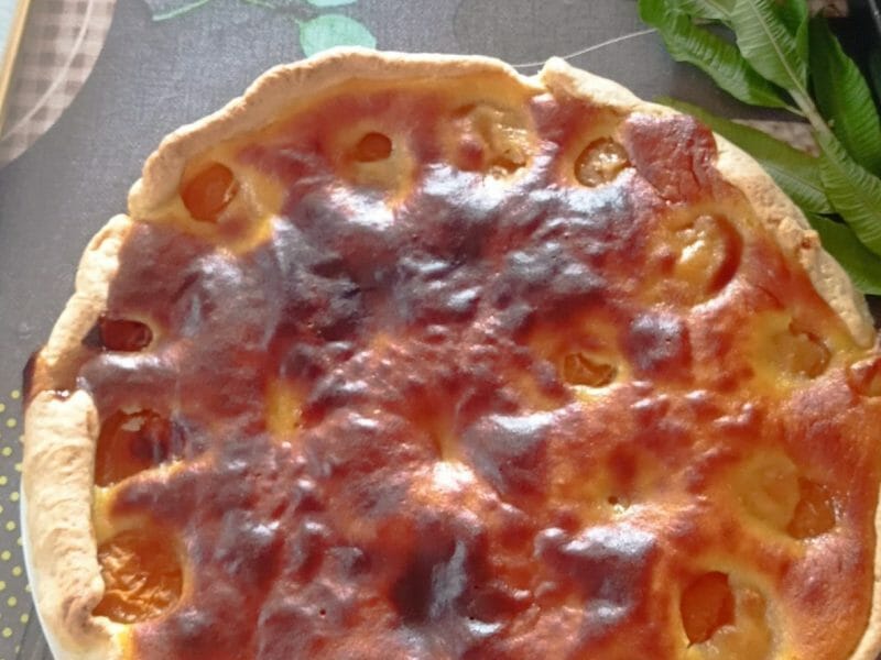 Cliquez pour zoomer ! Tarte amandine aux abricots Thermomix par evelyne_150