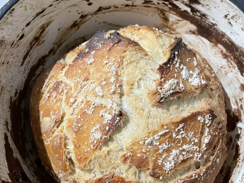 Cliquez pour zoomer ! Pain Cocotte Thermomix par elsof