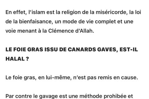 Cliquez pour zoomer ! Photo de mesra