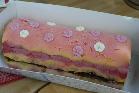 Cliquez pour zoomer ! Bûche glacée mangue et framboise Thermomix par Julie17290