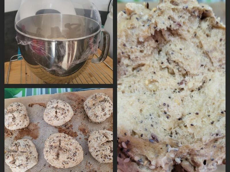 Cliquez pour zoomer ! Petits pains aux céréales Thermomix par puce67380