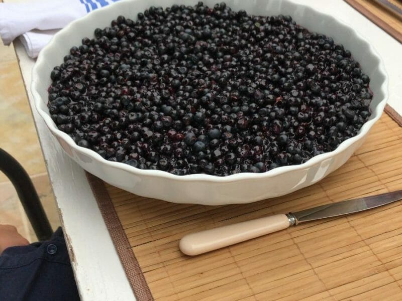 Cliquez pour zoomer ! Tarte aux myrtilles Thermomix par Eteisseire