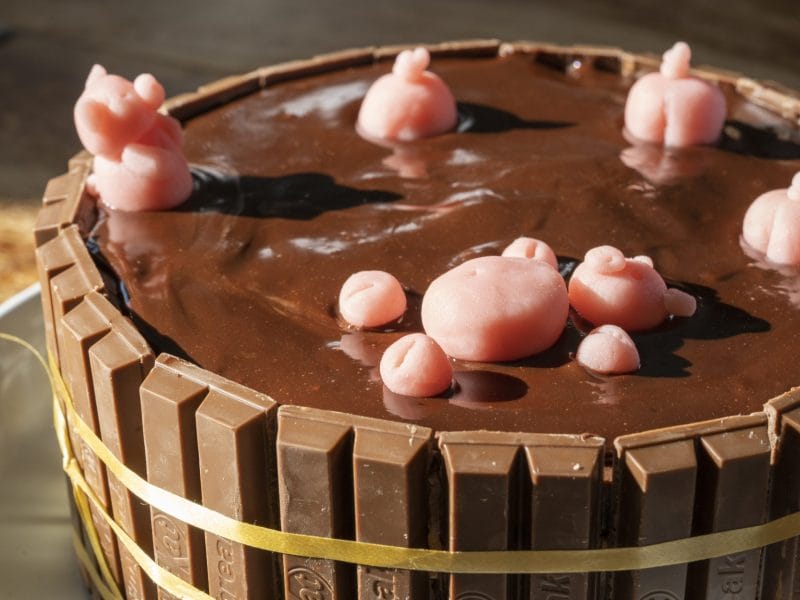 Cliquez pour zoomer ! La mare aux cochons Thermomix par Louis